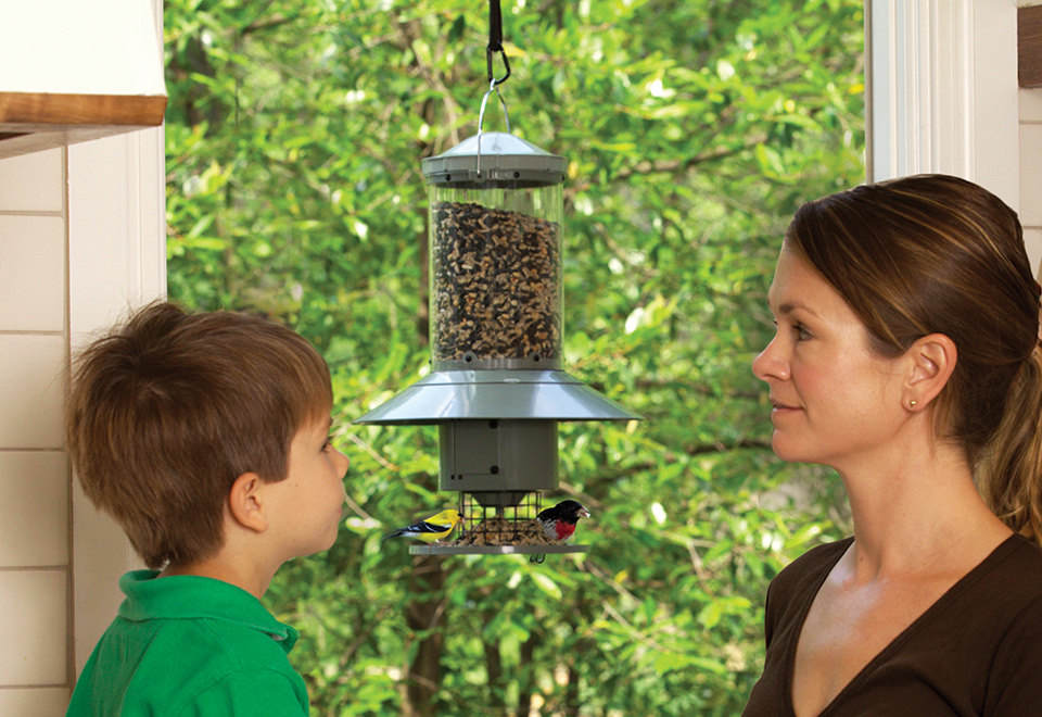 Automatic Bird Feeder Sharper Image