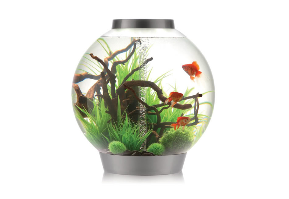 AllInOne 8 Gallon Globe Aquarium Sharper Image