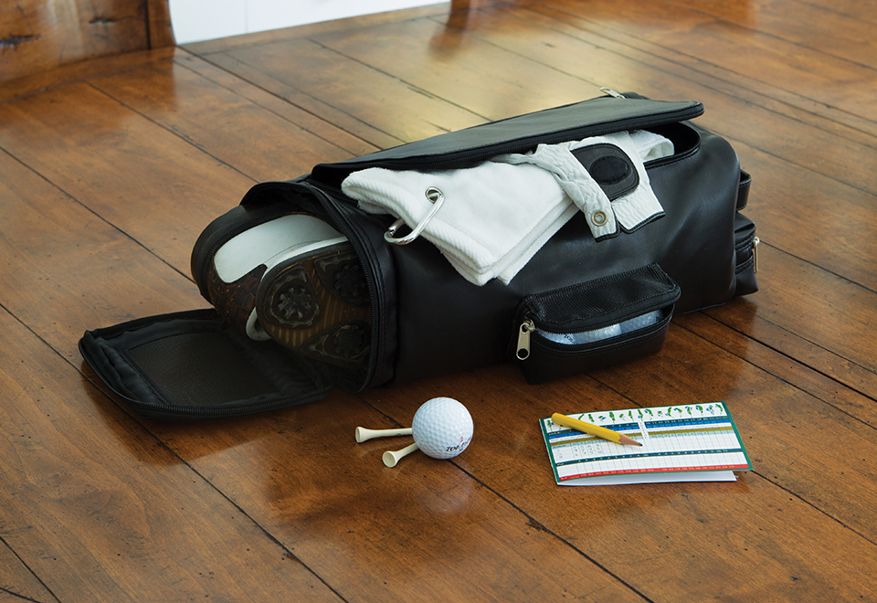 Golf Shoe Bag Sharper Image