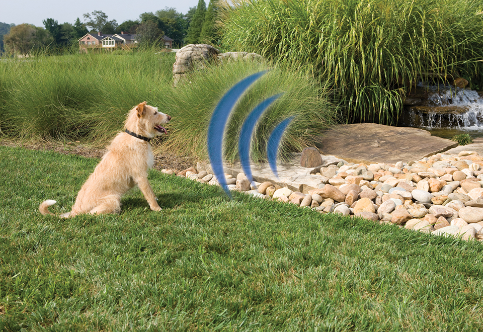 Outdoor Pet Barrier System Sharper Image