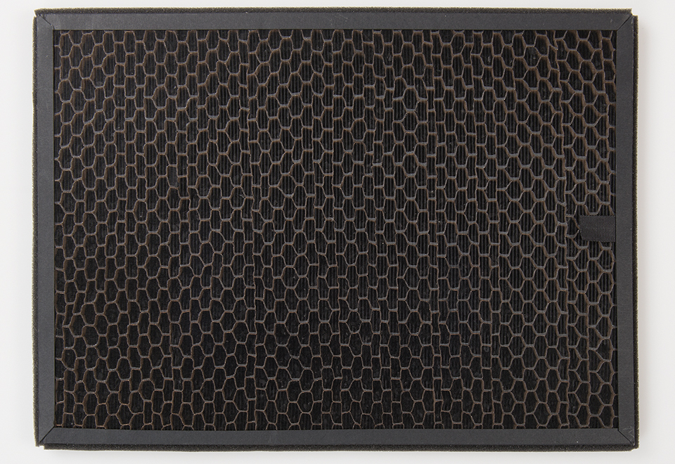 Carbon Filter for PureSmart Intelligent 5Stage Air Purifier (2Pack