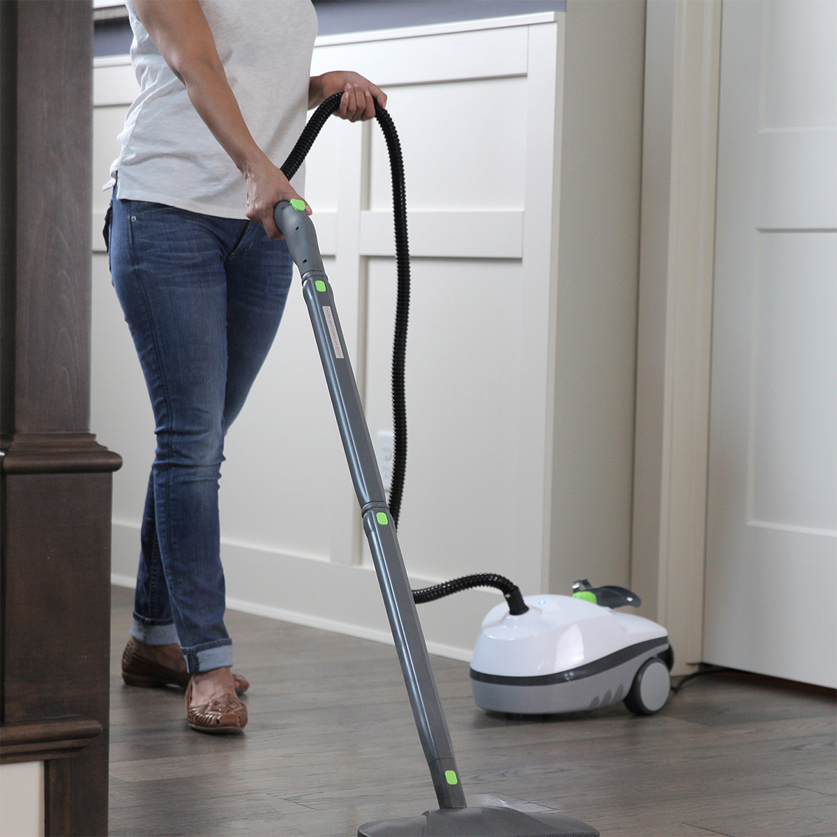 Deluxe Canister Steam Cleaner Sharper Image